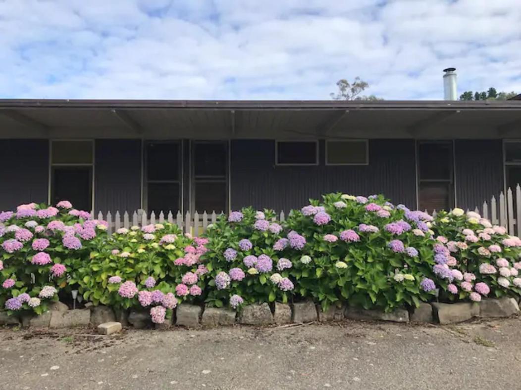 Nowa Nowa Motel - Budget Friendly Getaway In East Gippsland Extérieur photo